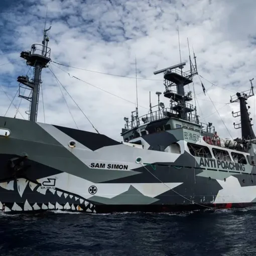 Sam Simon a La Spezia