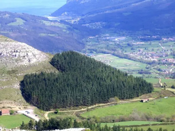 Foresta di Cantabria, Spagn