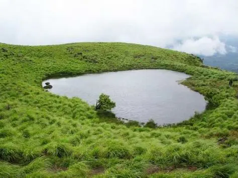 Laghi a forma di cuore, Wayanad, India