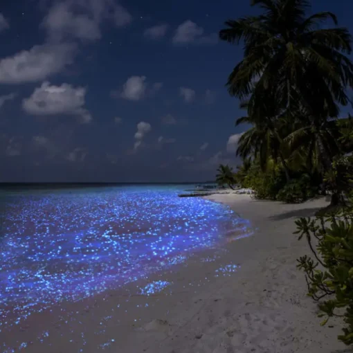 Spiaggia luminosa alle Maldive