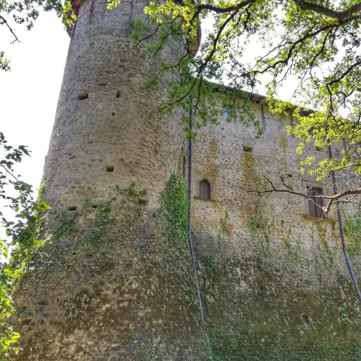 Castello Malaspina di Monti di Licciana, Lunigiana