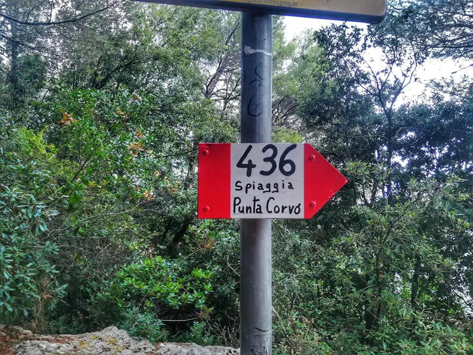 Indicazioni sentiero 436 per Punta Corvo