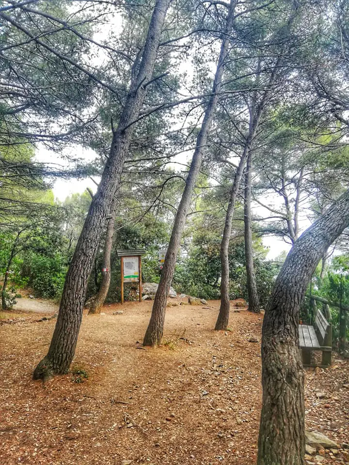 Spiazzo Panoramico lungo il sentiero