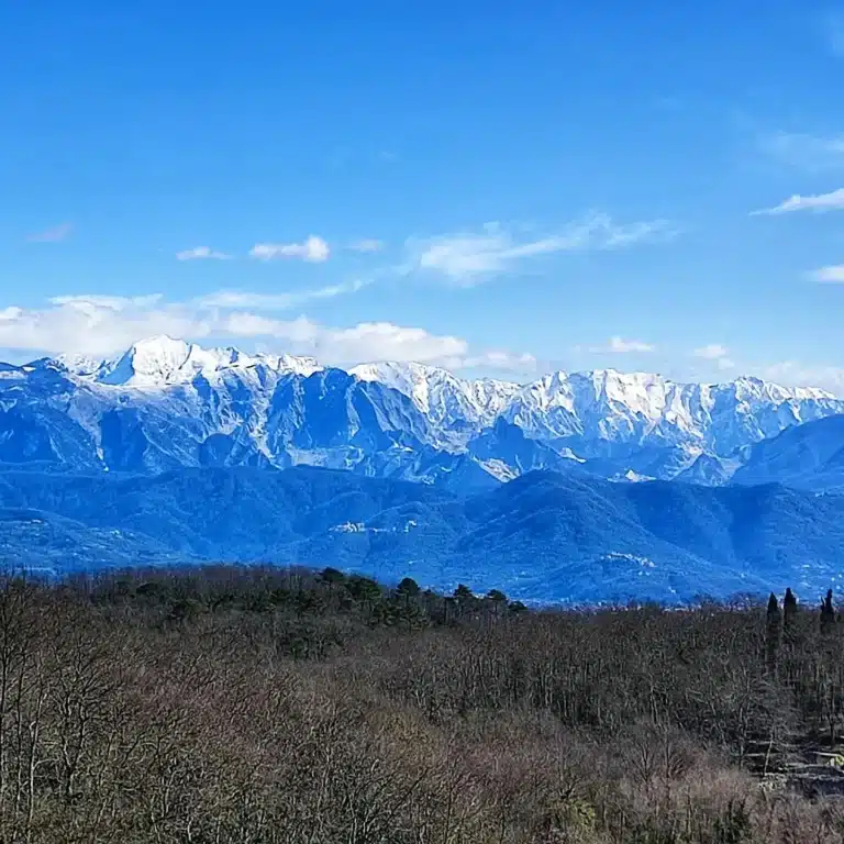 Alpi Apuane innevate viste dal Promontorio del Caprione.