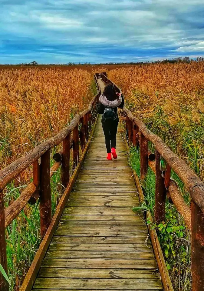 passeggiando su uno dei camminamenti