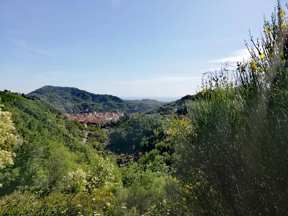 Vista sulla città