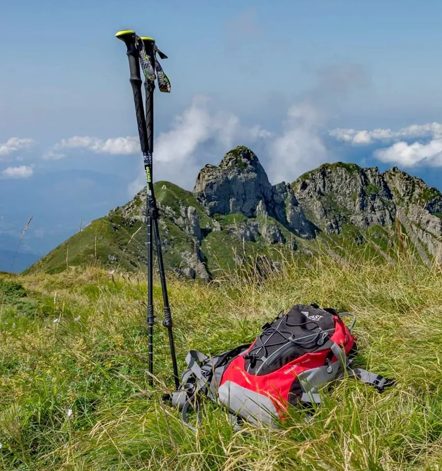 Escursioni nel rispetto della natura: Bastoncini e zaino su prato 