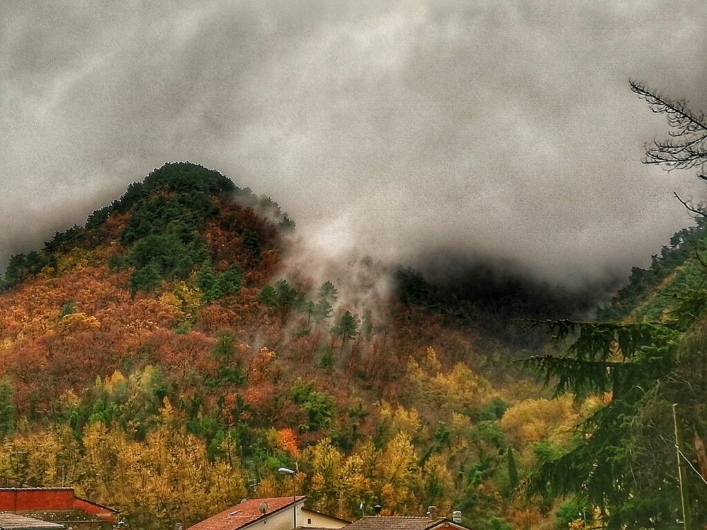 Bosco d'autunno nelle Alpi Apuane, visto dalla mia finestra