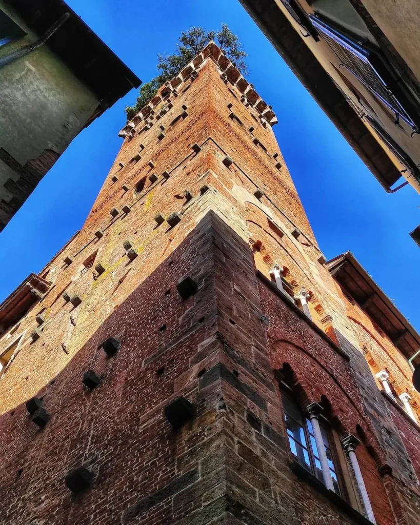 Torre Guinigi a Lucca vista dal basso