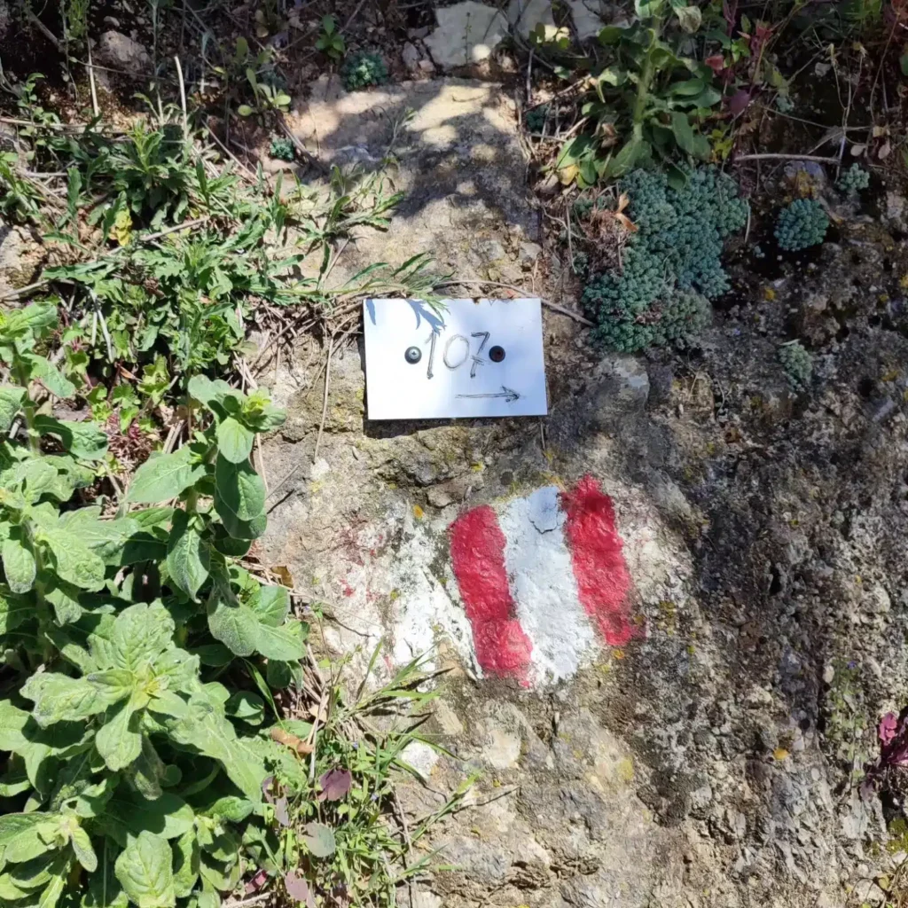 Indicazioni sentiero 107 Monte Gabberi