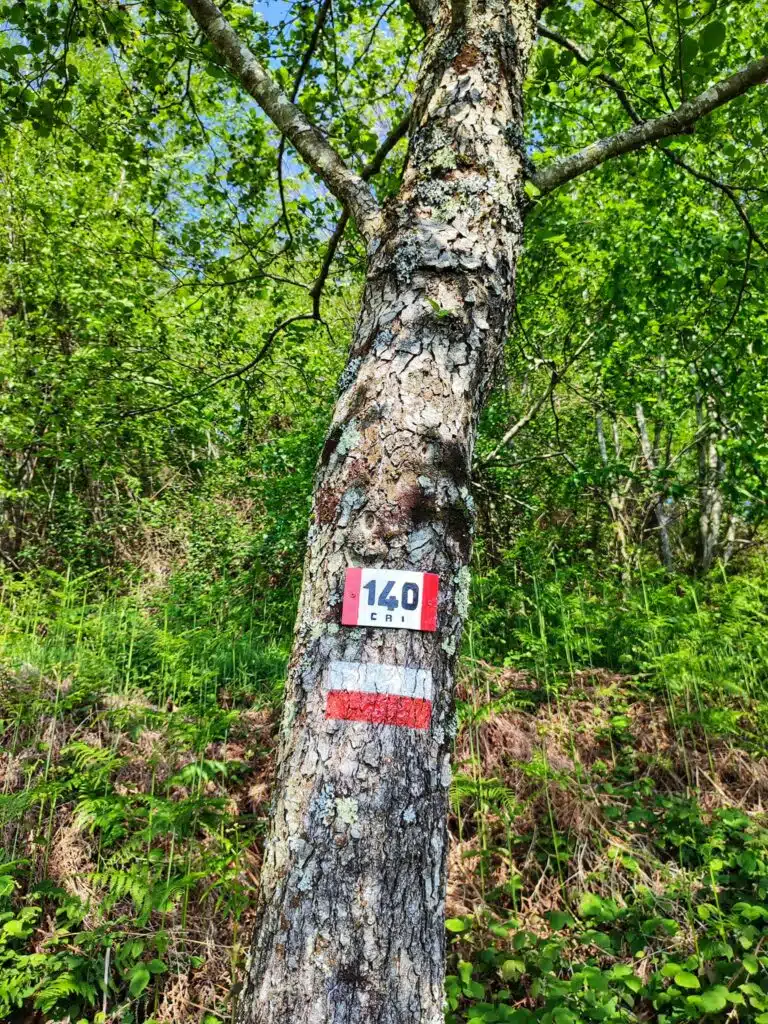 Sentiero 140 per la vetta del Monte Folgorito