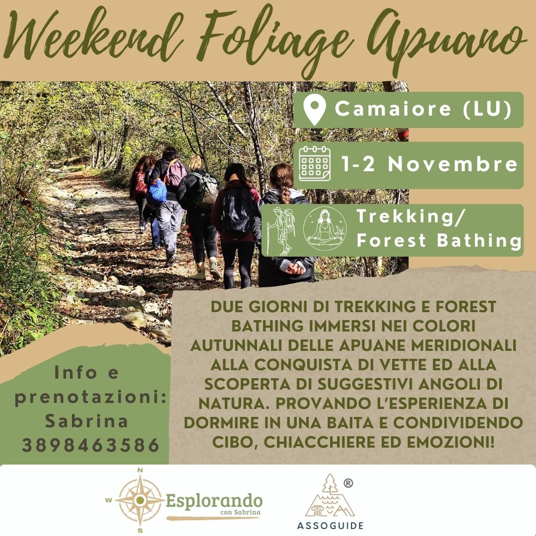 Weekend Foliage Apuano