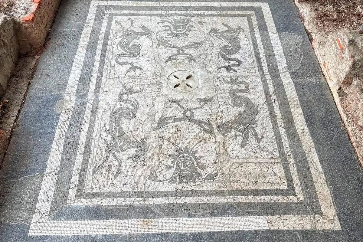 Mosaico con animali marini nel museo di Massaciuccoli